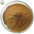 Extrait à base de plantes Ashwagandha Root Powder